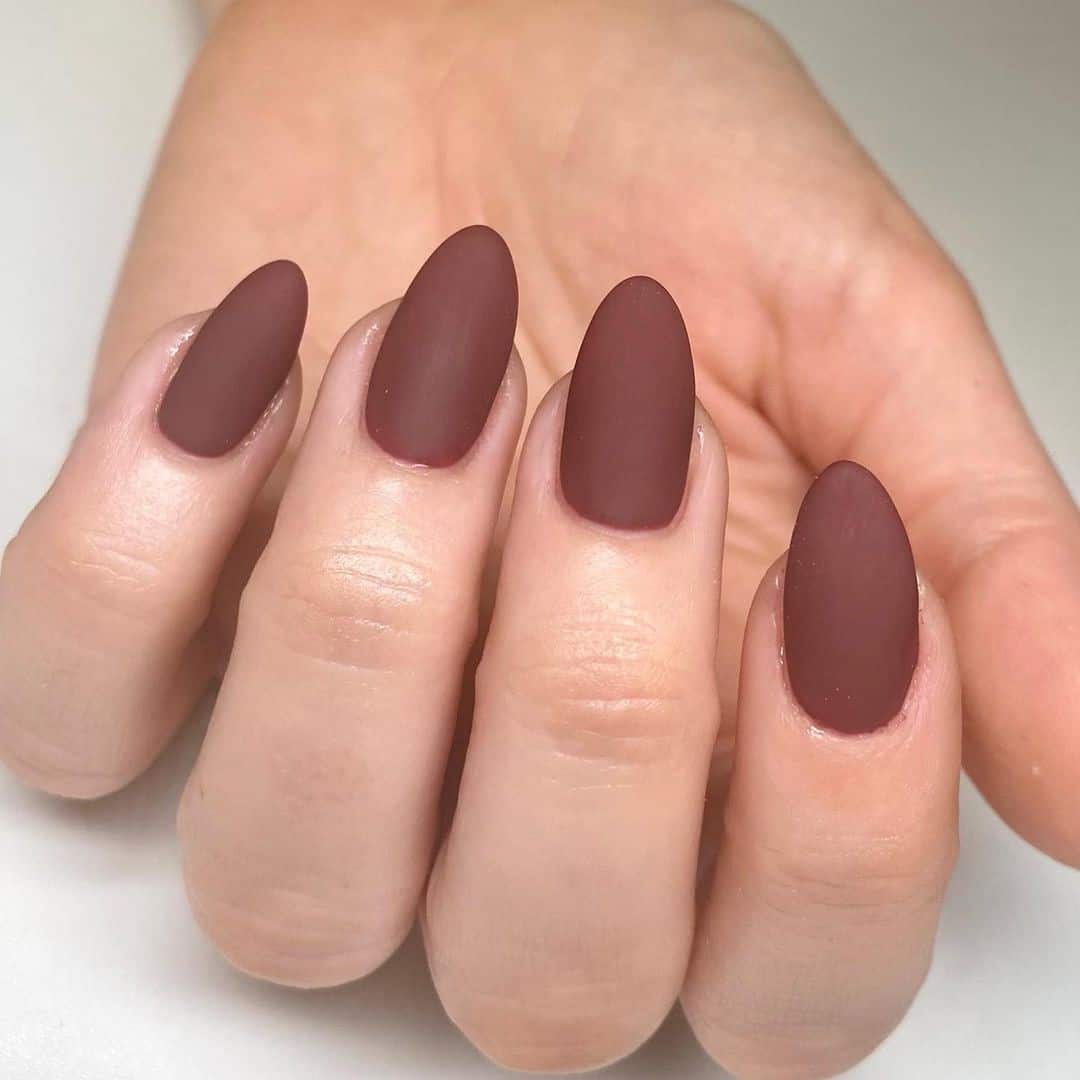 Fall Matte Nails Brown Color