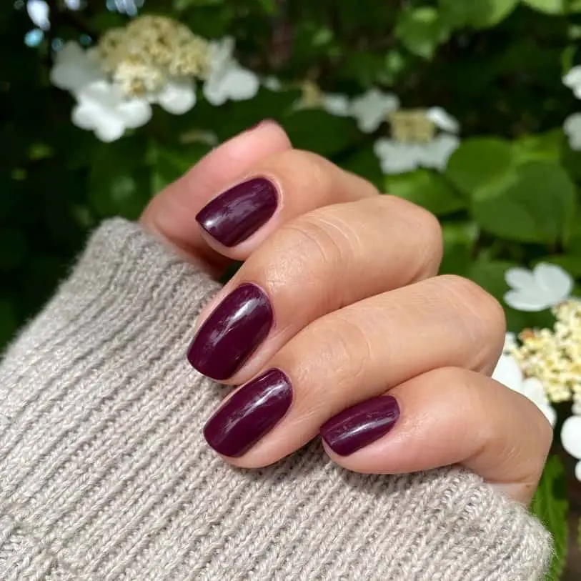 40+ Unique Burgundy Nail Design Ideas (Square & Coffin, Oval & Almond) 5 Short Burgundy Nail Designs