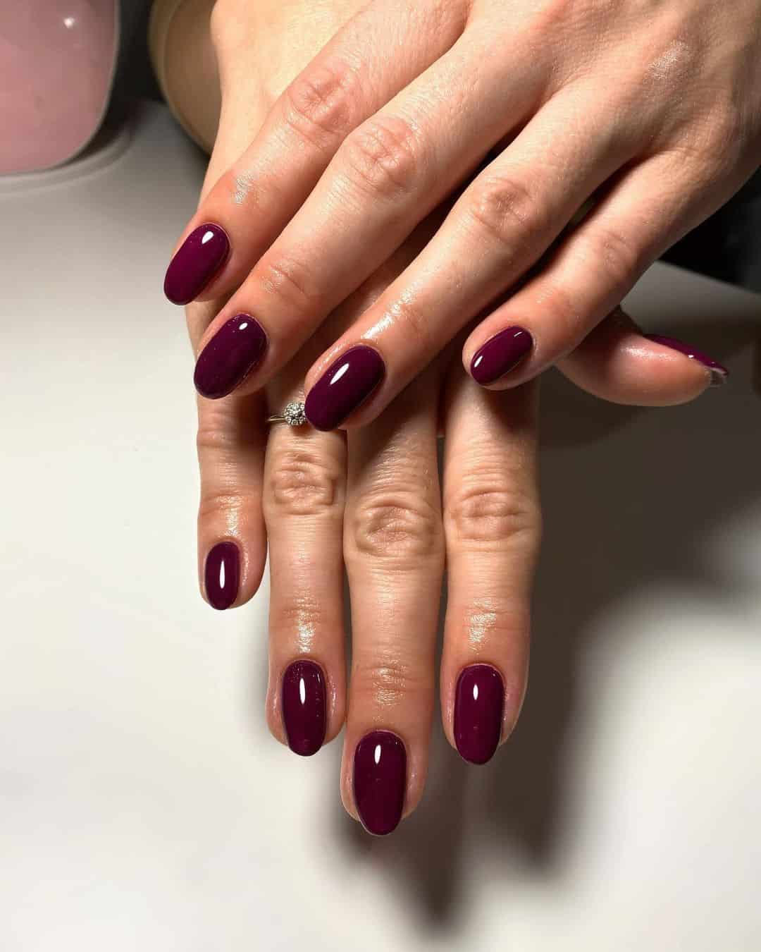 Winter Nails Burgundy Manicure