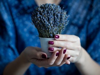 Lavender Nail