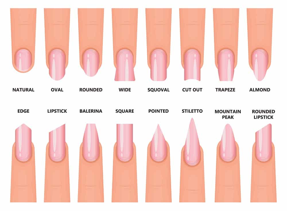 19 Complete Nail Shape Chart 2022（Styles, Sizes and Variations） - Tattooed  Martha