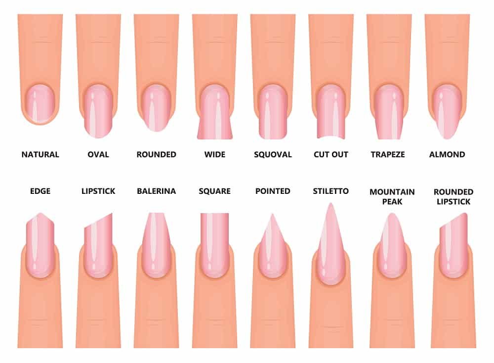 19 Complete Nail Shape Chart 2022(Styles, Sizes and Variations) 3 2021 Nail Shape Chart