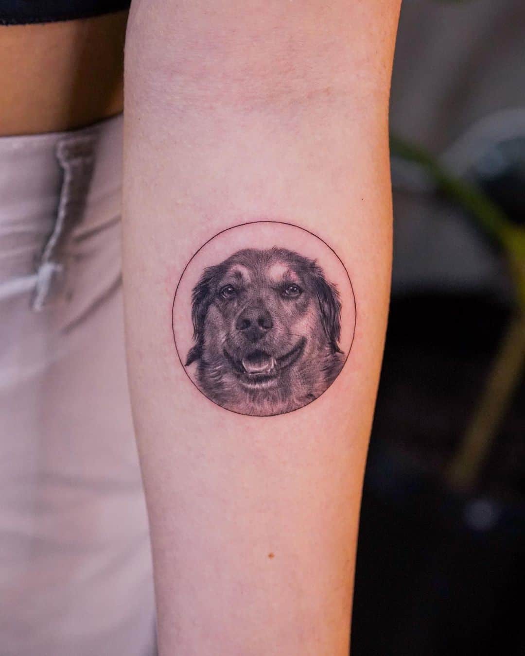 Dog Circle Tattoo