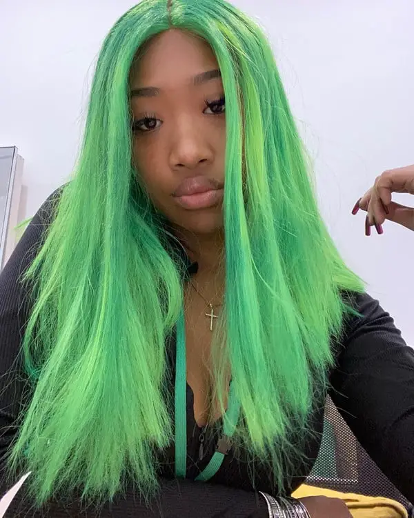 Long Green Wig With Highlights