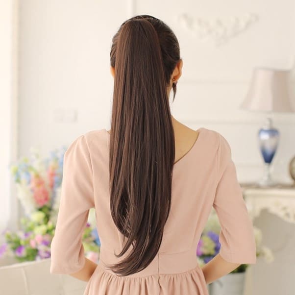 Simple Ponytail Wig Brown Look