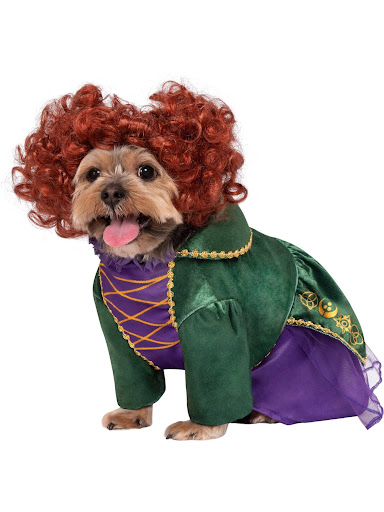 Winifred Sanderson Wig And Teeth For Sale (2024 Update)