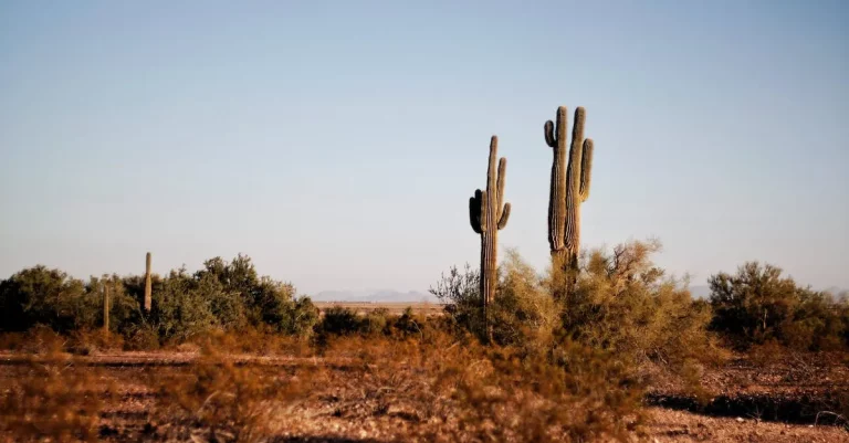 The Biggest Complaints About Living In Texas
